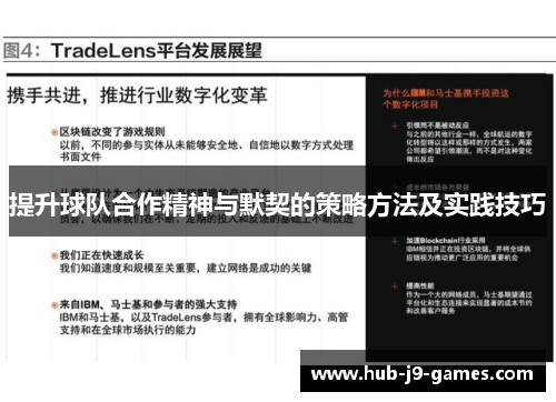 提升球队合作精神与默契的策略方法及实践技巧
