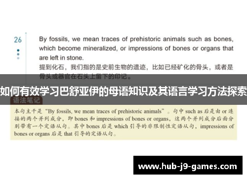 如何有效学习巴舒亚伊的母语知识及其语言学习方法探索