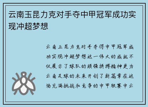 云南玉昆力克对手夺中甲冠军成功实现冲超梦想